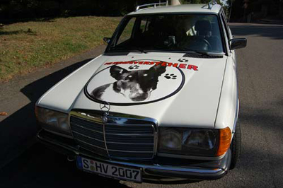 Doggycar1 Doggycar1