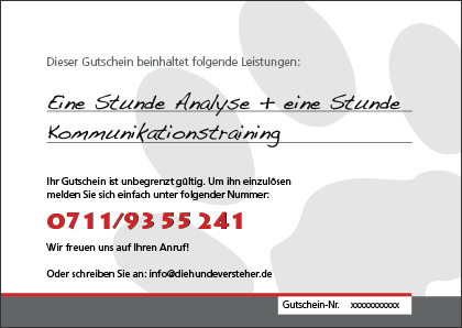 Gutschein hinten Gutschein hinten