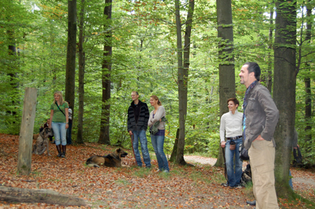 Wald Wald