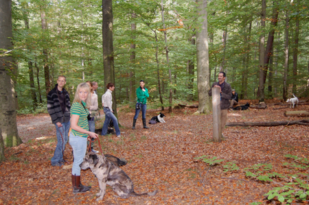 Wald2 Wald2