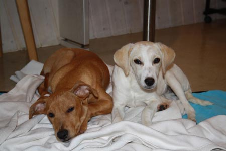 Sunny und seine Freundin